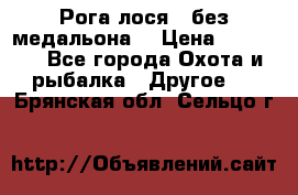 Рога лося , без медальона. › Цена ­ 15 000 - Все города Охота и рыбалка » Другое   . Брянская обл.,Сельцо г.